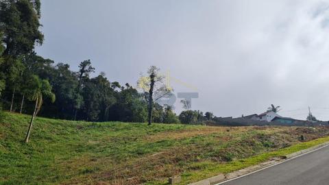 Terreno à venda em Campo Largo, Vila Conceição, com 1128.66 m²